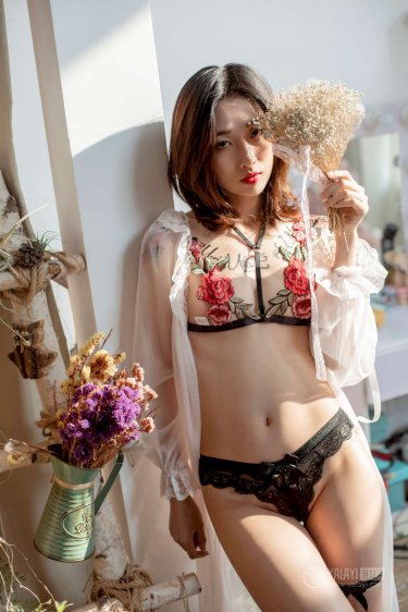 刑警队长 电视剧