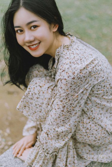 花之蛇在线观看